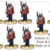 BRV217 British Infantry In Service Dress And Covered Shako At Attention