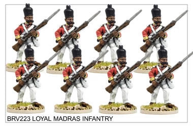 BRV223 Loyal Madras Infantry - Image 2