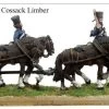 BSCM002 Don Cossack Limber
