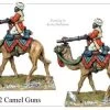 IND242 Camel Guns