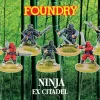 FC09 - Ex Citadel Ninja